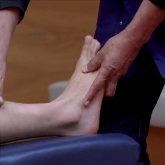 Formation LA CHEVILLE - focus sur le niveau AVANCÉ - La Malléole et le Tibia distal par Eric Robinson